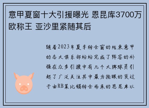 意甲夏窗十大引援曝光 恩昆库3700万欧称王 亚沙里紧随其后